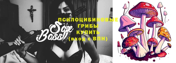 тгк Вяземский
