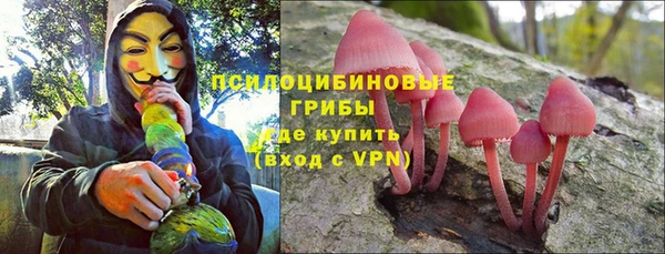 прущие крисы Вязьма