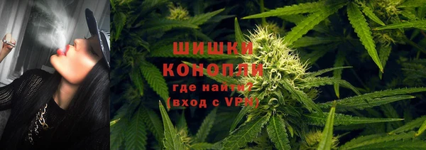 прущие крисы Вязьма