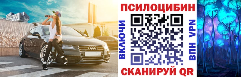 Псилоцибиновые грибы мицелий  мега вход  Новая Ладога  где купить  